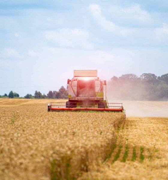 Jornal JA 7 - Contratações do crédito rural somam R$ 209 bilhões em nove meses