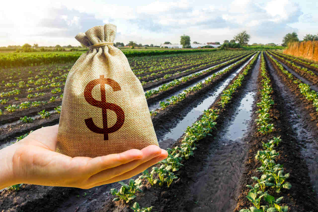 Agricultura em Goiás - Desembolso do crédito rural somou R$ 25,8 bilhões em julho