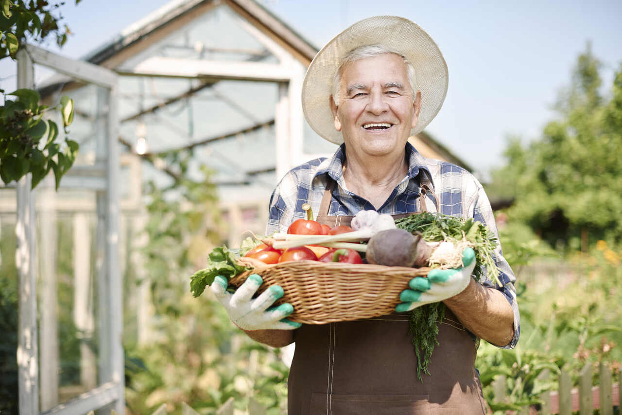 Jornal JA7 - Economia CMN facilita acesso de agricultor familiar a fundo de reforma agrária