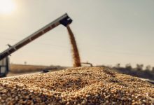 Jornal JA7 - Produção de grãos chegará a 390 milhões de toneladas em 10 anos