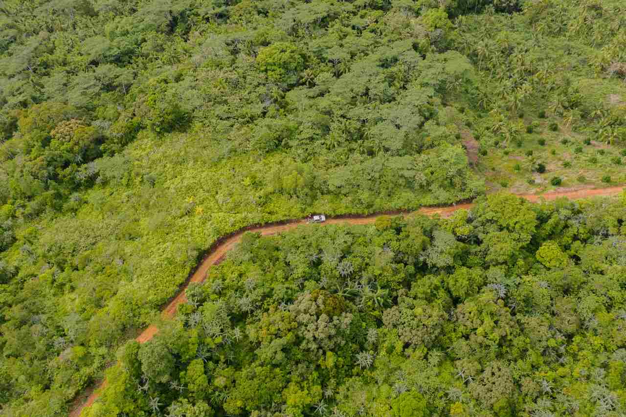 Jornal JA7 - Ambientalistas denunciam desmatamento às margens de rodovia amazônica