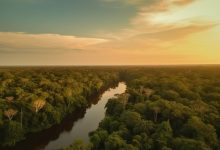 Jornal JA7 - Cúpula acordo deve evitar ponto de não retorno da Amazônia
