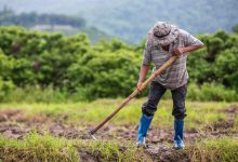 Jornal JA7 - Governo entrega 35 títulos definitivos de domínio de terras a produtores rurais