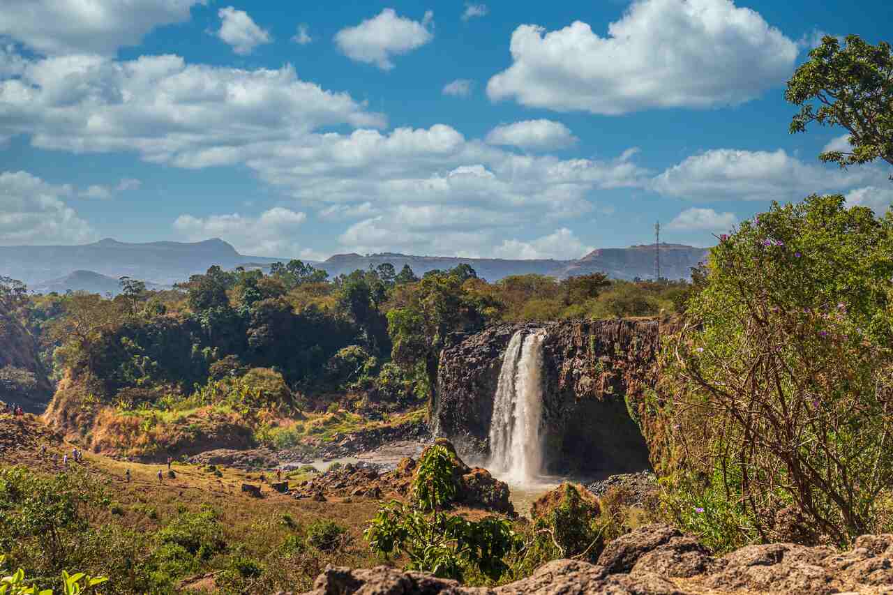 Jornal JA7 - lança concurso de fotografia com a temática Cerrado