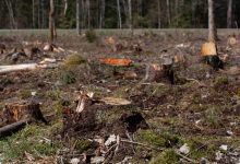 Jornal JA7 - Pioneiro, Governo assina pacto para zerar desmatamento ilegal