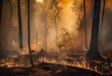 Jornal JA7 - Publicado decreto que garante ação rápida contra incêndios florestais