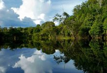 Ministério da Saúde Investe R$ 225 Milhões para Combater Seca Histórica no Amazonas