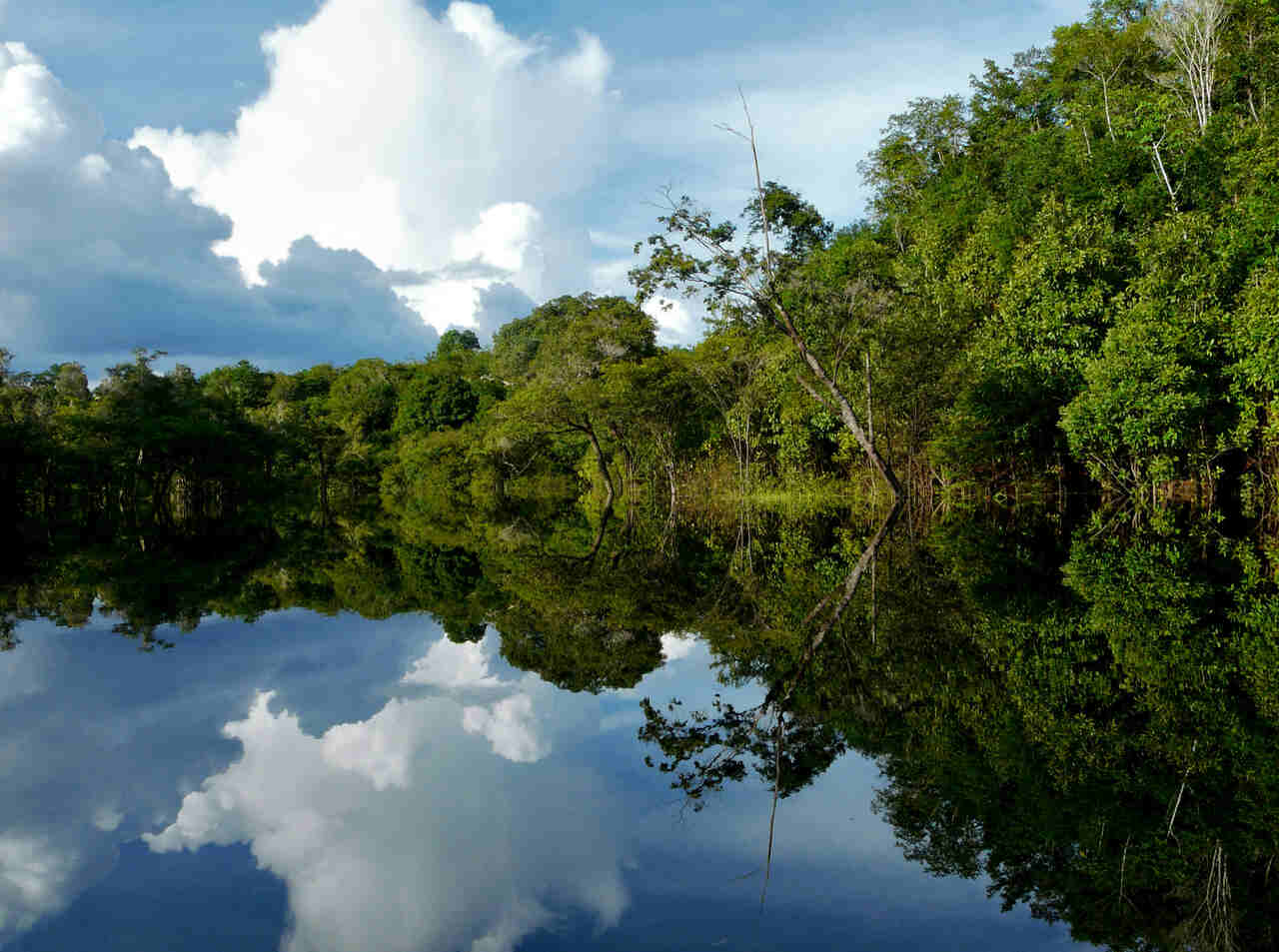 Ministério da Saúde Investe R$ 225 Milhões para Combater Seca Histórica no Amazonas