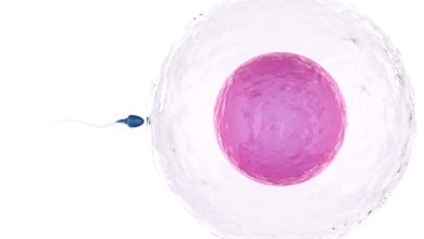 Urologia Goiânia - O impacto do HPV na fertilidade masculina