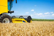 Jornal JA7 - Estimativa da Conab Produção de grãos para 202324 prevista em 312 milhões de toneladas