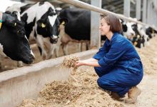 Ministra da Agricultura da Colômbia visita o Brasil para impulsionar cooperação e comércio