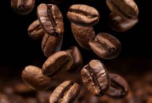 Zâmbia dá Sinal Verde para Café Brasileiro Novo Horizonte Comercial se Abre