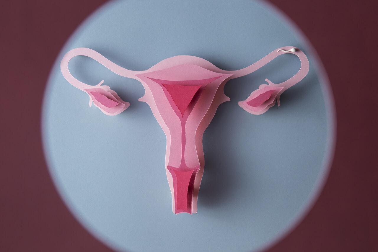 Dr João Batista Pinto Goiânia - Entenda as diferenças entre Endometriose e Adenomiose