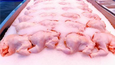 Brasil amplia exportação de carne de aves com abertura de mercado na Bósnia e Herzegovina